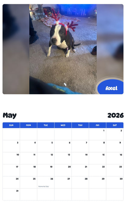 2026 - 2027 Axel - Pawidols Pet Calendar