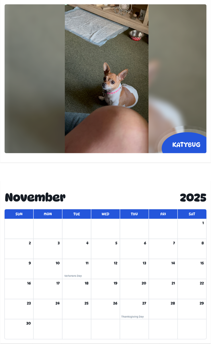 July 2025 - June 2026 KATYBUG - Pawidols Pet Calendar
