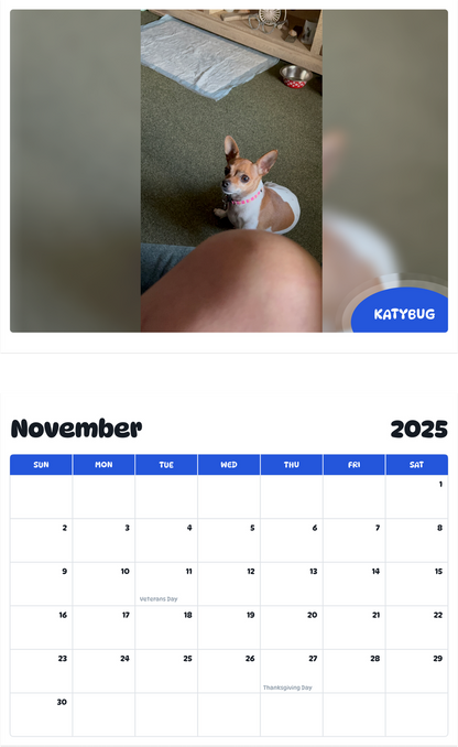 July 2025 - June 2026 KATYBUG - Pawidols Pet Calendar