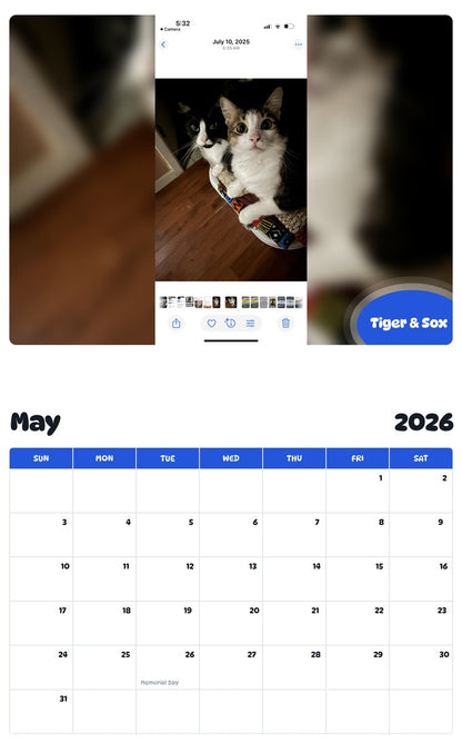 2026 - 2027 Tiger & Sox - Pawidols Pet Calendar