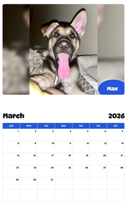 November 2025 - October 2026 Max - Pawidols Pet Calendar