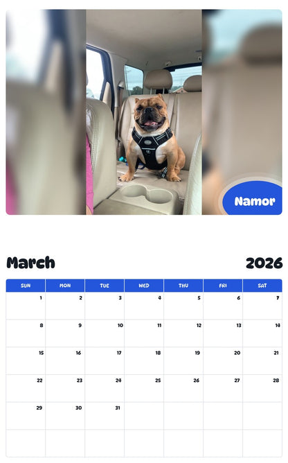 November 2025 - October 2026 Namor - Pawidols Pet Calendar