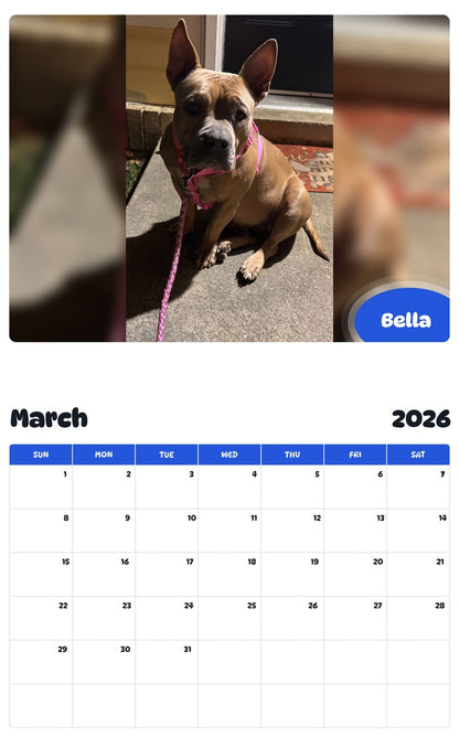 November 2025 - October 2026 Bella - Pawidols Pet Calendar