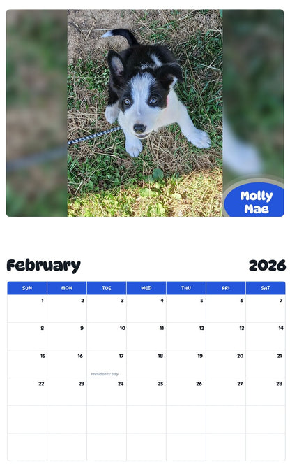 November 2025 - October 2026 Molly Mae - Pawidols Pet Calendar