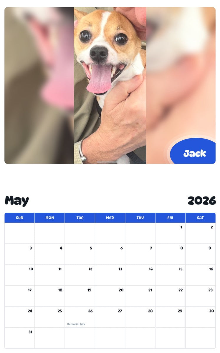 2026 - 2027 Jack - Pawidols Pet Calendar