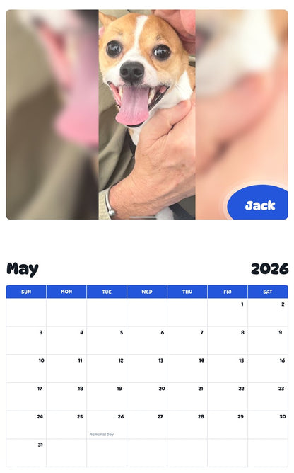2026 - 2027 Jack - Pawidols Pet Calendar