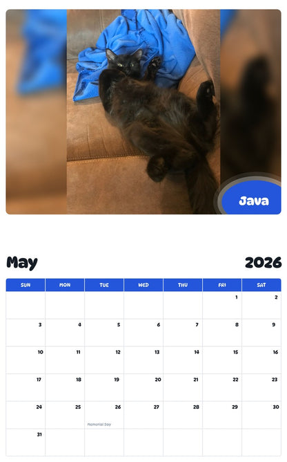 2026 - 2027 Java - Pawidols Pet Calendar