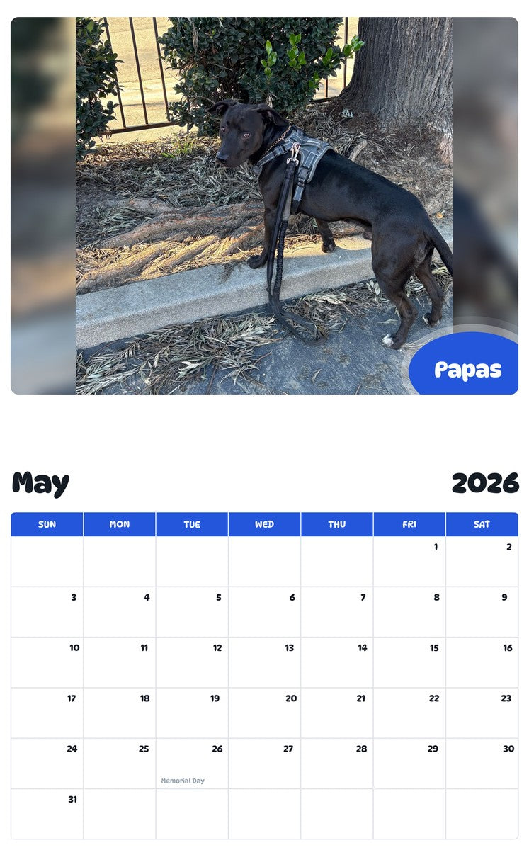 2026 - 2027 Papas - Pawidols Pet Calendar