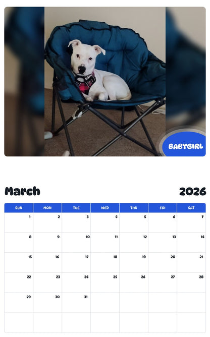 November 2025 - October 2026 BABYGIRL - Pawidols Pet Calendar