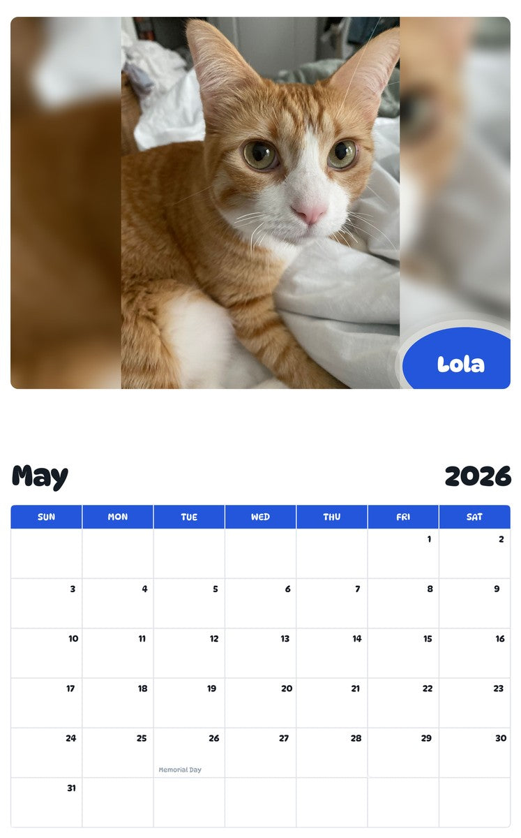 2026 - 2027 Lola - Pawidols Pet Calendar