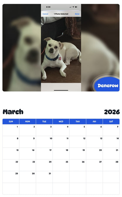 November 2025 - October 2026 Denerow - Pawidols Pet Calendar