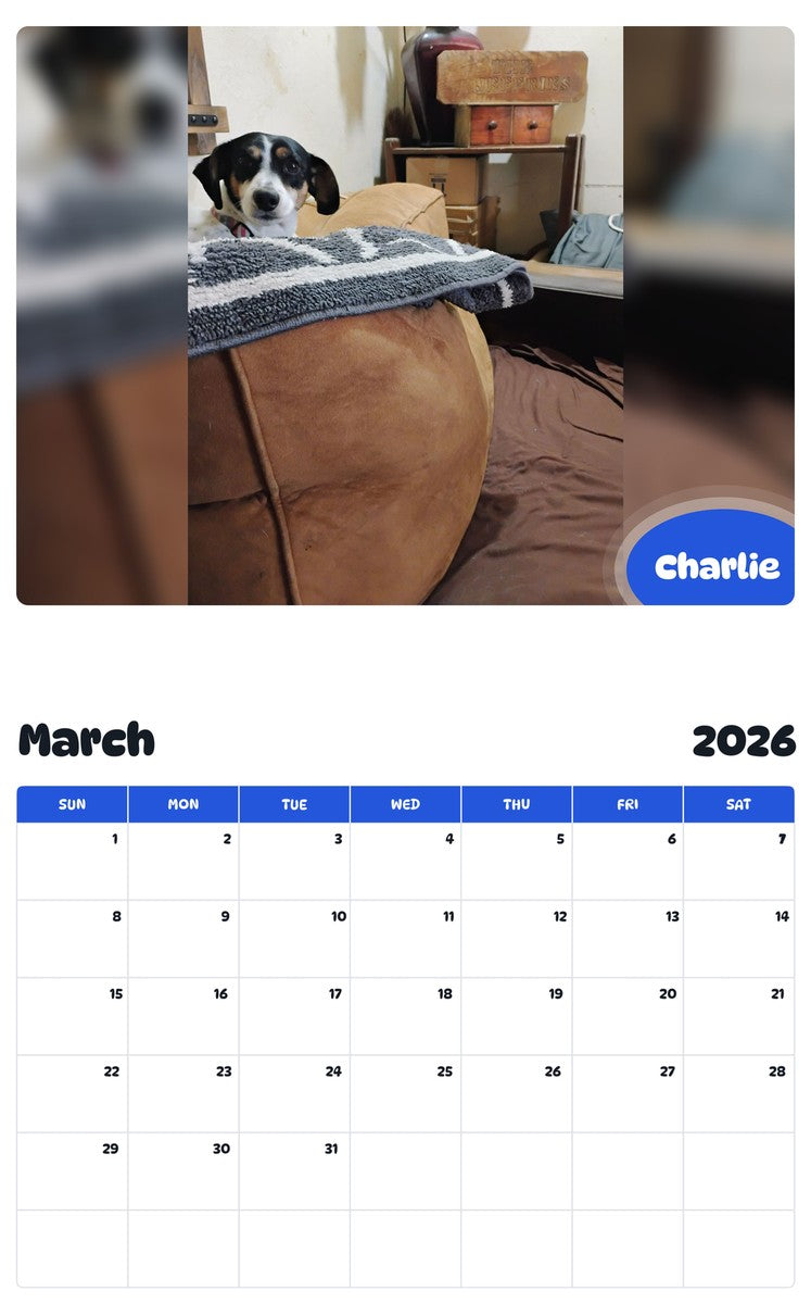 November 2025 - October 2026 Charlie - Pawidols Pet Calendar