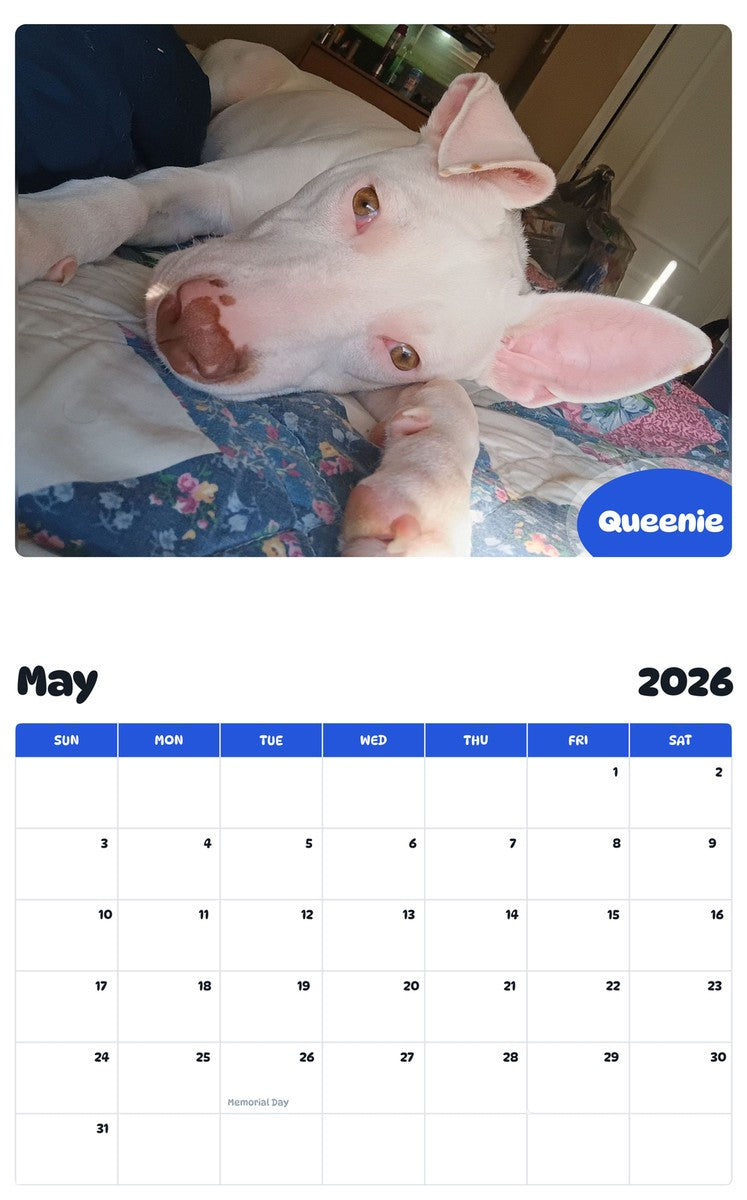 2026 - 2027 Queenie - Pawidols Pet Calendar