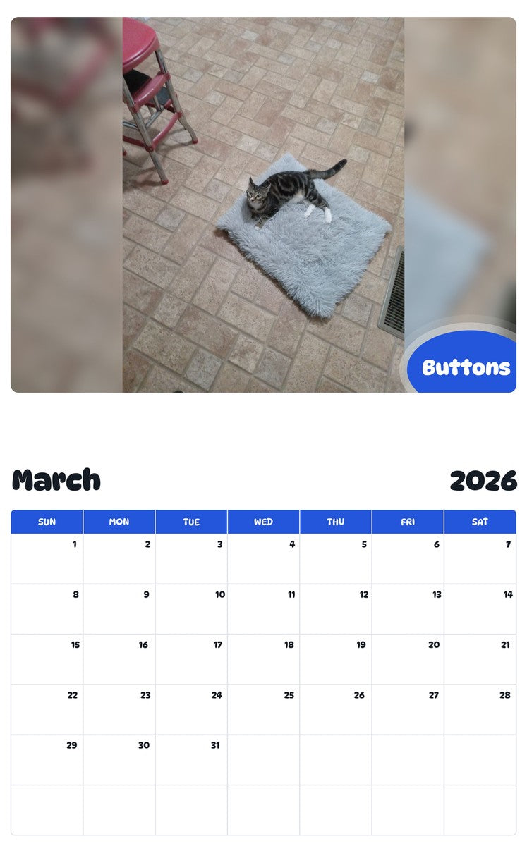 November 2025 - October 2026 Buttons - Pawidols Pet Calendar