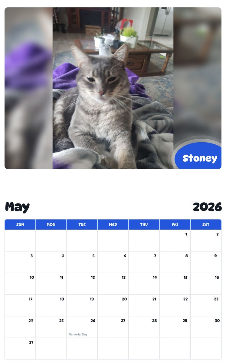 2026 - 2027 Stoney - Pawidols Pet Calendar