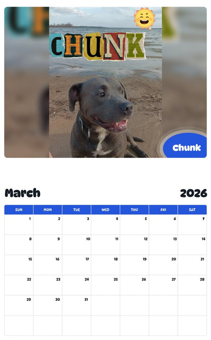 November 2025 - October 2026 Chunk - Pawidols Pet Calendar