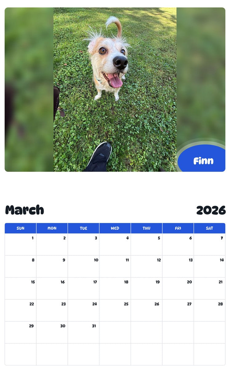 November 2025 - October 2026 Finn - Pawidols Pet Calendar