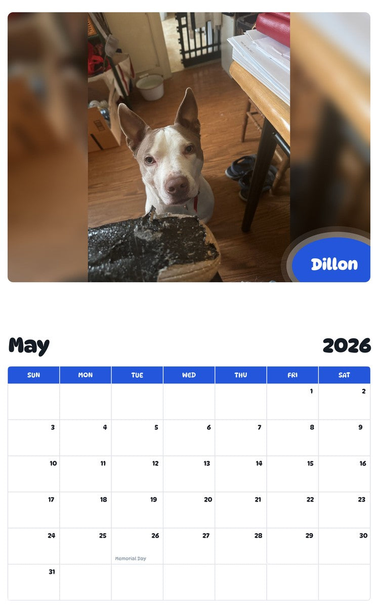 2026 - 2027 Dillon - Pawidols Pet Calendar