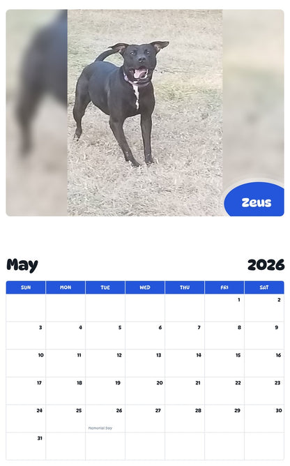 2026 - 2027 Zeus - Pawidols Pet Calendar