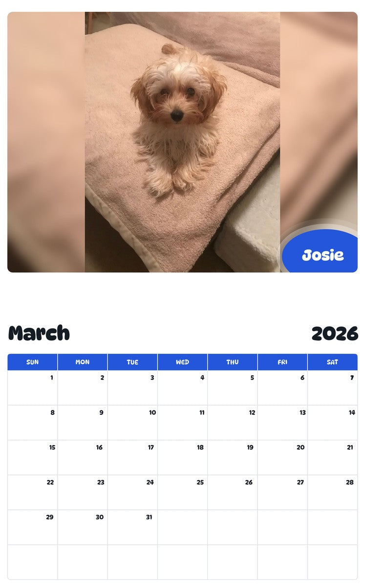 November 2025 - October 2026 Josie - Pawidols Pet Calendar