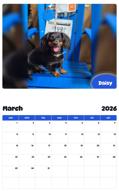 November 2025 - October 2026 Daisy - Pawidols Pet Calendar