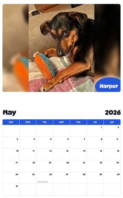 2026 - 2027 Harper - Pawidols Pet Calendar