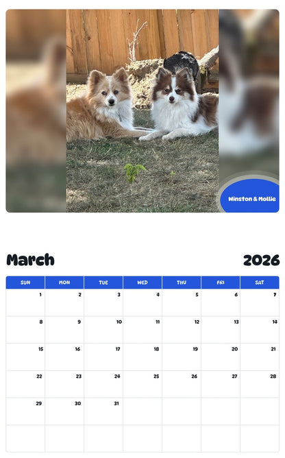 November 2025 - October 2026 Winston & Mollie - Pawidols Pet Calendar