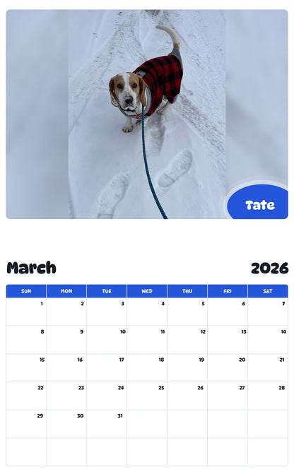November 2025 - October 2026 Tate - Pawidols Pet Calendar