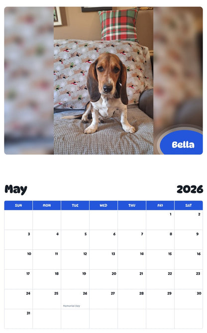 2026 - 2027 Bella - Pawidols Pet Calendar