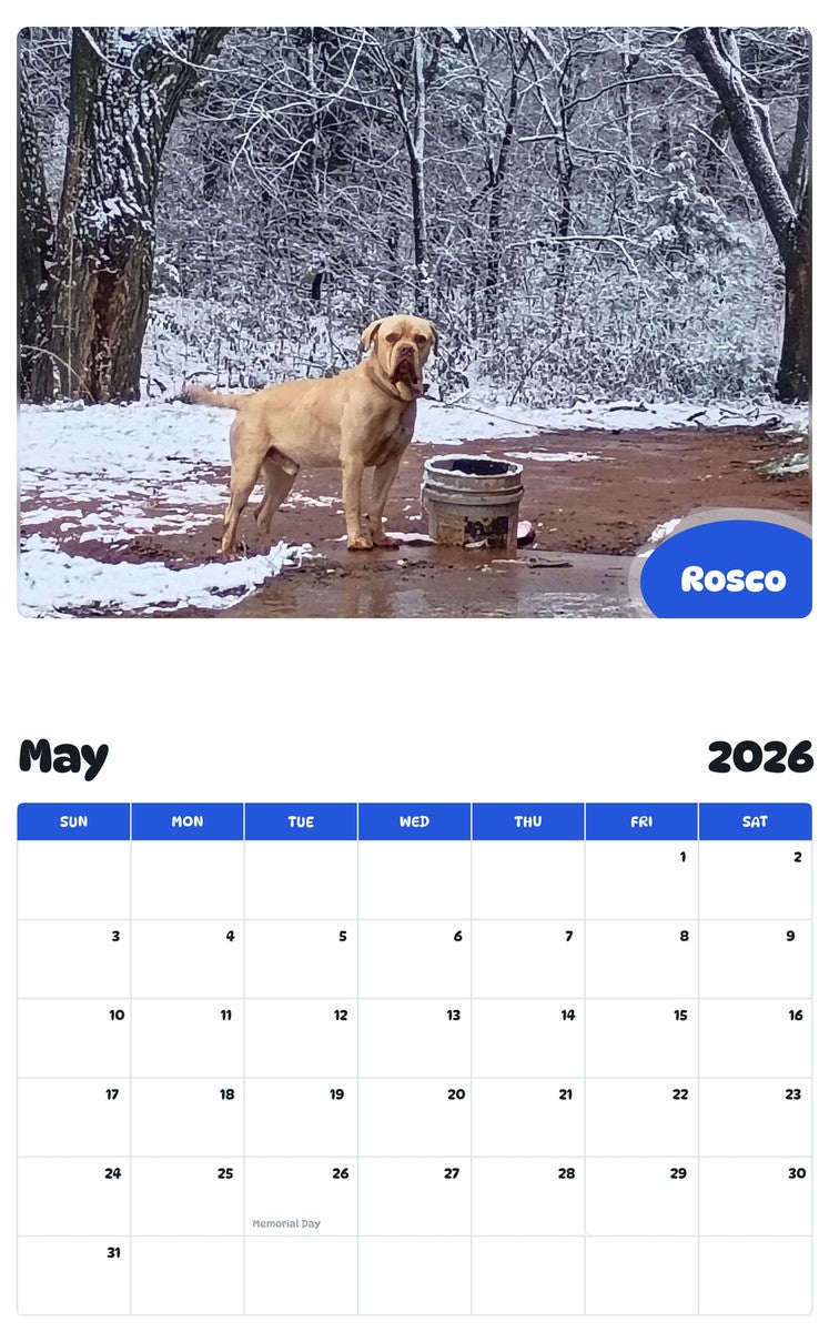 2026 - 2027 Rosco - Pawidols Pet Calendar