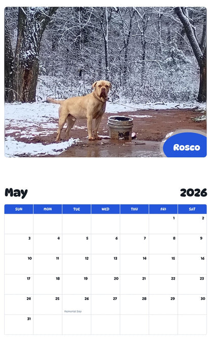 2026 - 2027 Rosco - Pawidols Pet Calendar