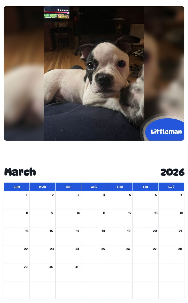 November 2025 - October 2026 Littleman - Pawidols Pet Calendar
