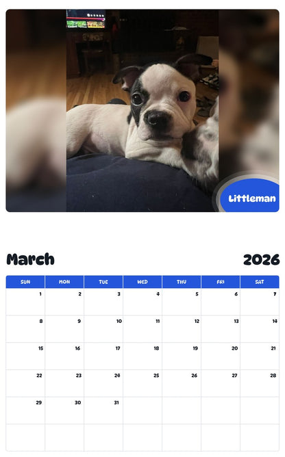 November 2025 - October 2026 Littleman - Pawidols Pet Calendar