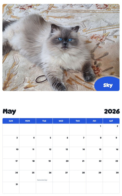 2026 - 2027 Sky - Pawidols Pet Calendar