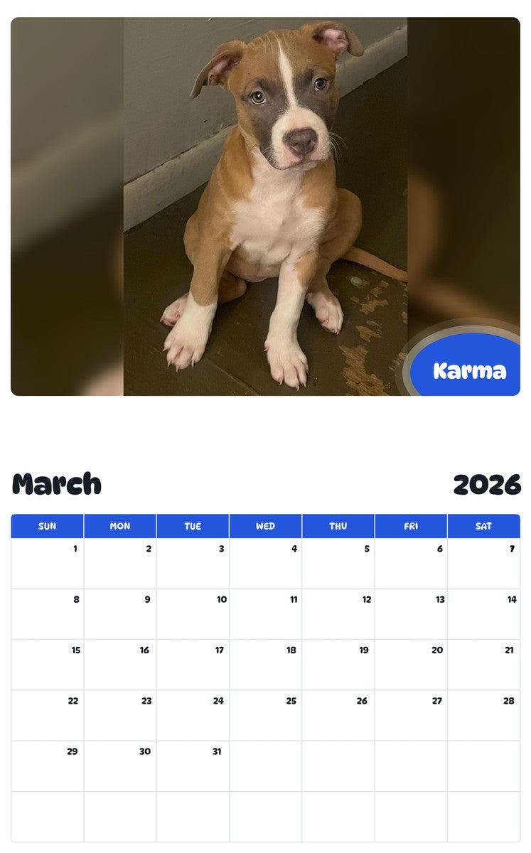 November 2025 - October 2026 Karma - Pawidols Pet Calendar