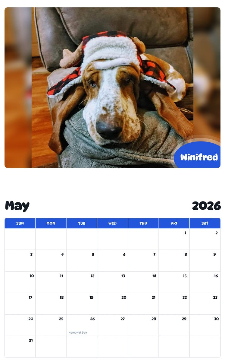 2026 - 2027 Winifred - Pawidols Pet Calendar