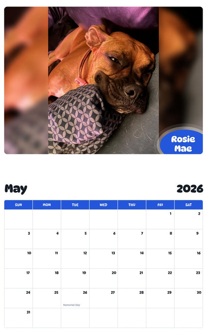 2026 - 2027 Rosie Mae - Pawidols Pet Calendar
