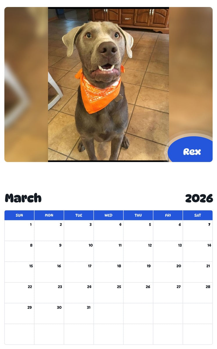November 2025 - October 2026 Rex - Pawidols Pet Calendar