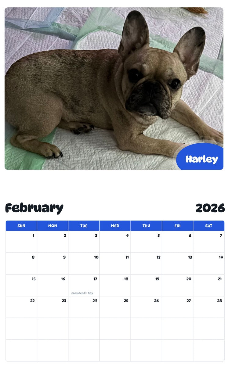 November 2025 - October 2026 Harley - Pawidols Pet Calendar