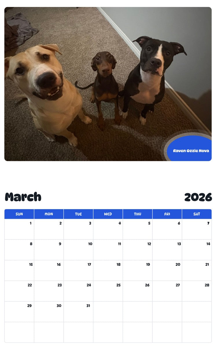 November 2025 - October 2026 Raven Ozzie Nova - Pawidols Pet Calendar