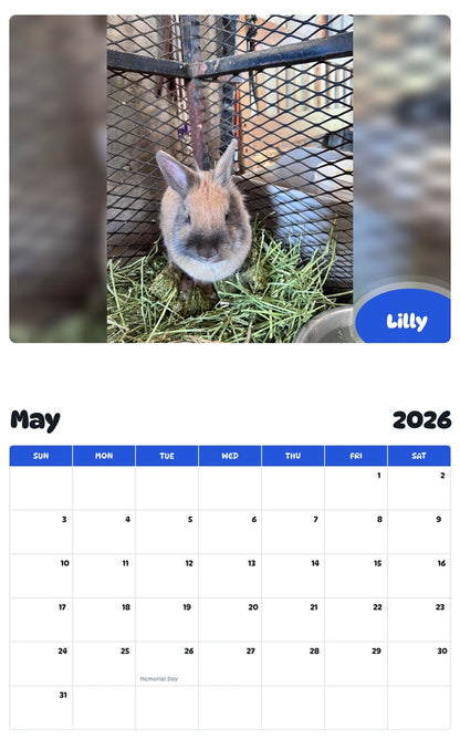 2026 - 2027 Lilly - Pawidols Pet Calendar