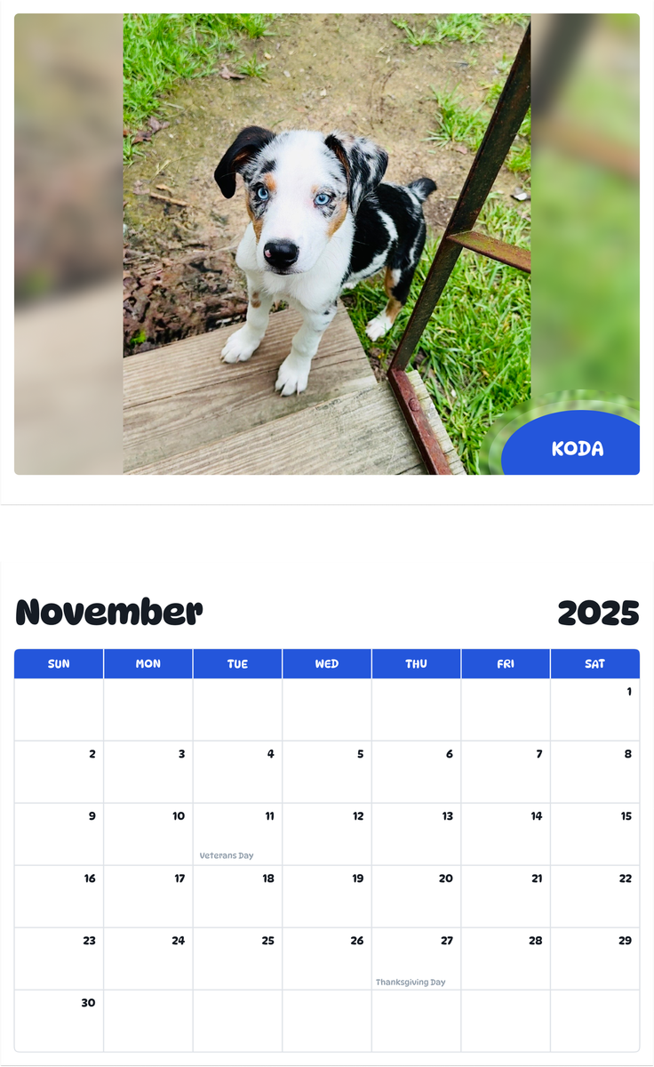 July 2025 - June 2026 Koda - Pawidols Pet Calendar