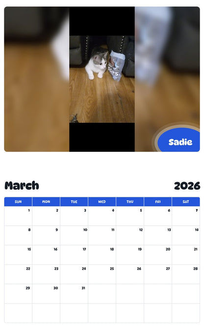 November 2025 - October 2026 Sadie - Pawidols Pet Calendar