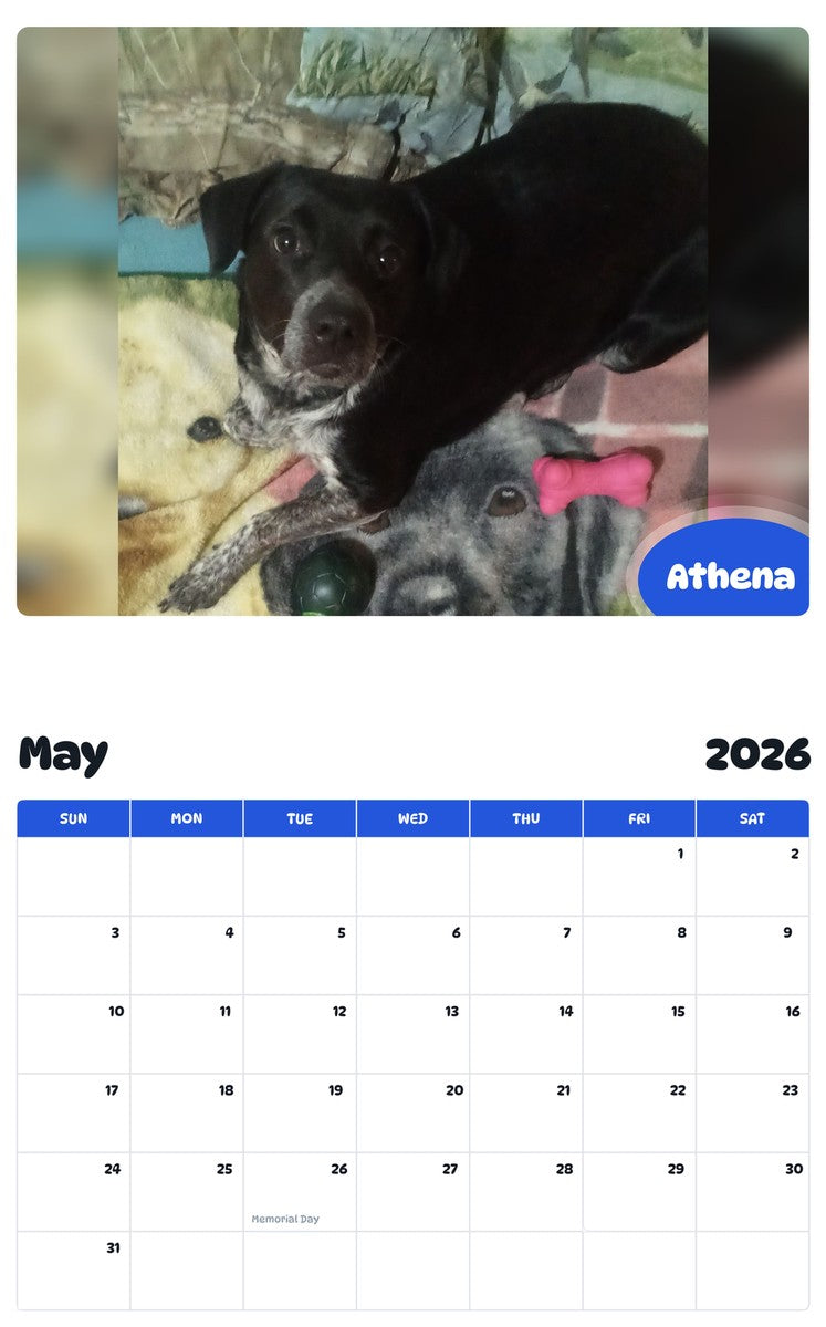 2026 - 2027 Athena - Pawidols Pet Calendar