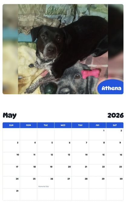 2026 - 2027 Athena - Pawidols Pet Calendar