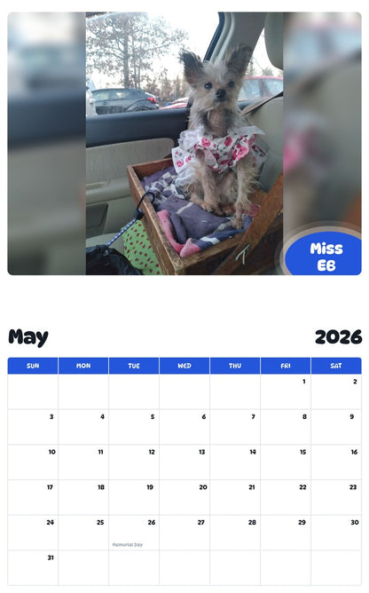 2026 - 2027 Miss EB - Pawidols Pet Calendar