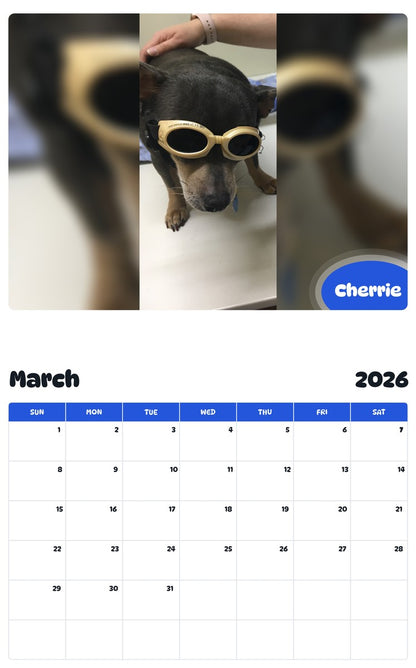 November 2025 - October 2026 Cherrie - Pawidols Pet Calendar
