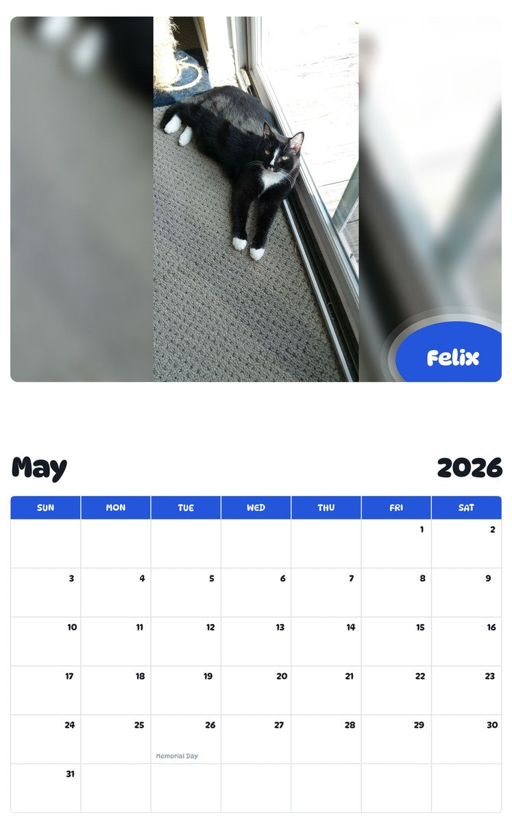 2026 - 2027 Felix - Pawidols Pet Calendar