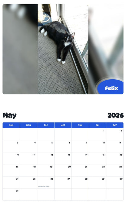 2026 - 2027 Felix - Pawidols Pet Calendar