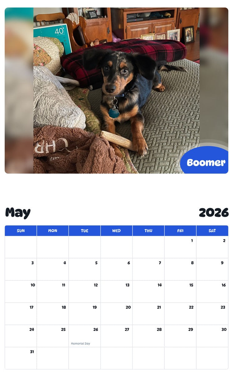 2026 - 2027 Boomer - Pawidols Pet Calendar